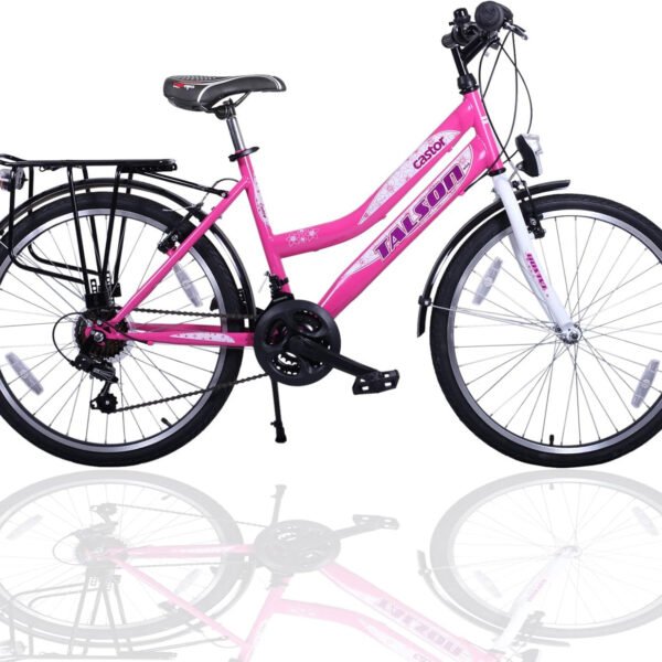 24 Zoll Mädchenfahrrad 21-Gang Shimano Schaltung mit Beleuchtung nach STVO Rosa Doppelrahmen